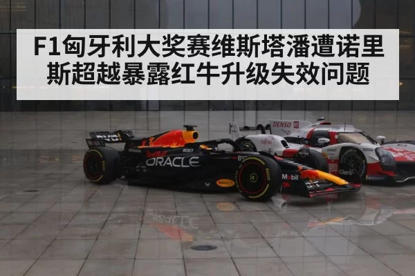 F1匈牙利大奖赛维斯塔潘遭诺里斯超越暴露红牛升级失效问题